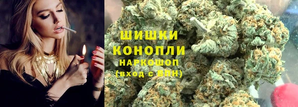 шишки Алзамай