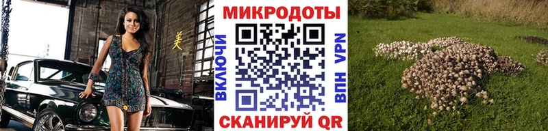 Галлюциногенные грибы мухоморы  Кимры 